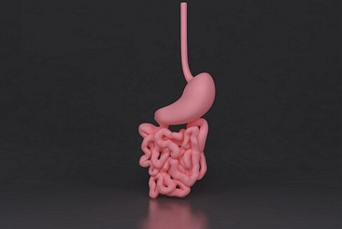 intestino parasitado